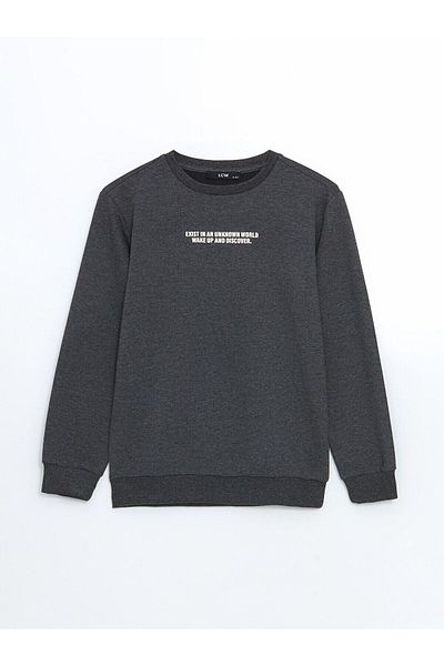 LC Waikiki Crew Neck Printed Boys' Sweatshirt