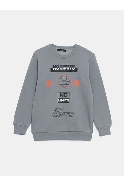 LC Waikiki Crew Neck Printed Boys' Sweatshirt