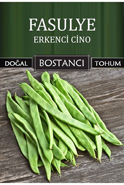 bostancı Yerli Erkenci Cino Oturak Fasulye Tohumu Doğal Taze Fasulye Tohumu P...