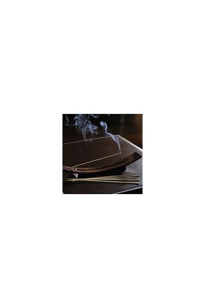 Esteban Paris Iris Cachemire Scented Sticks - Esteban Paris