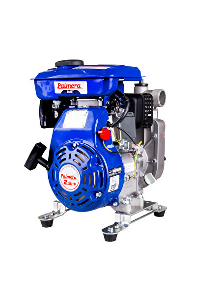 Palmera PA15T EUR5 BENZİNLİ SU MOTORU