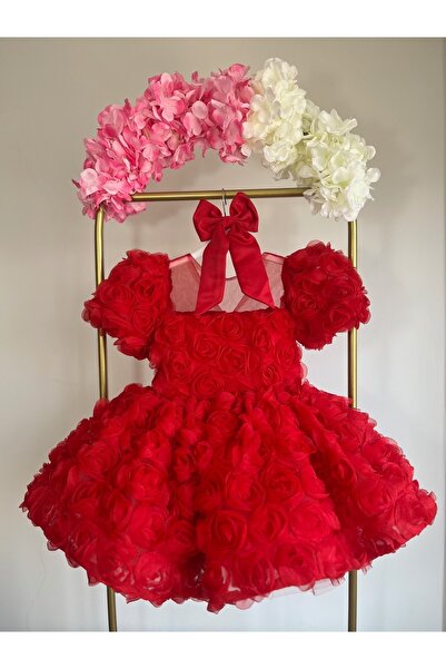 UrazTasarım Maria Vintage Güllü Vintage Kız Bebek Elbise,Doğum Günü Elbise,Fo...