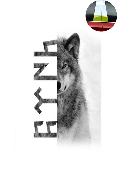 Happynesso Car Center Pole Sticker with "Turkish" Written |   2 Piece 20X45 cm Foil Print |   Easy to Apply