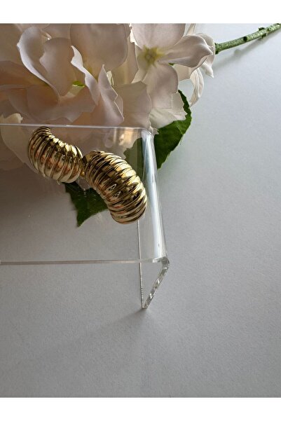 MODA 14K Rengi Vip Seri Çelik Günlük Küpe 20mm