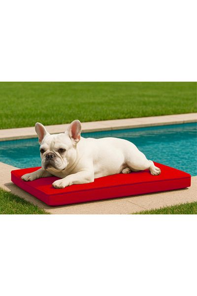 linapetshop Waterproof Outdoor Small Dog Bed with Zipper 49X67X7 cm