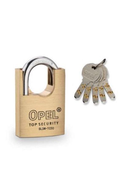 Venus Dsh Brass Padlock Cut Protection, Fingerprint Key Bldm-Tc - 60 Mm