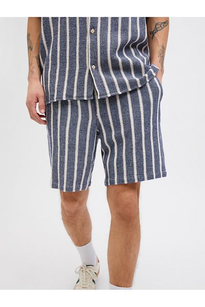 Jack & Jones JPSTJAIDEN Coba Stripe Jog SRT SN Shorts