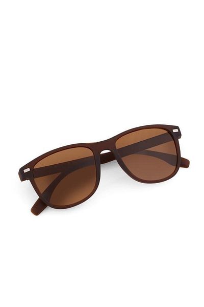 Aqua Di Polo 1987 نظارات شمسية للجنسين باللون البني Apsn 009602 --50 إيكارتمن
