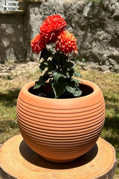 AdenArt Dekoratif Toprak Küre Saksı-çiçeklik Küçük Boy El Yapımı 22x22 Cm (TA...