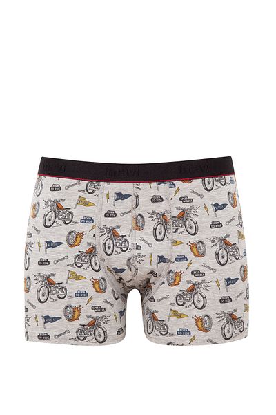Mavi Printed Grey Boxer 0910723-82816