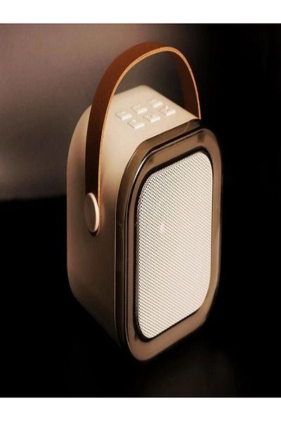 rexa Portable Speaker with Wireless Microphone