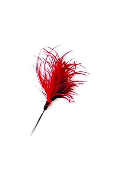 Pawsitiv Interactive Red Cat Teaser Toy - Small