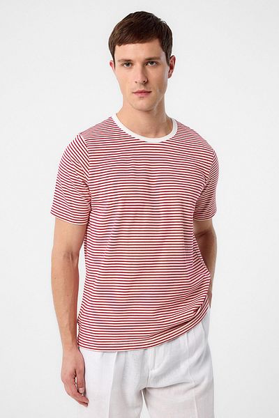 Antioch Red Regular Fit Striped Men's T-Shirt