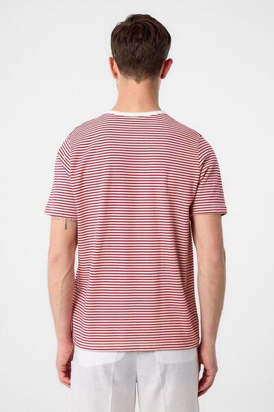 Antioch Red Regular Fit Striped Men's T-Shirt
