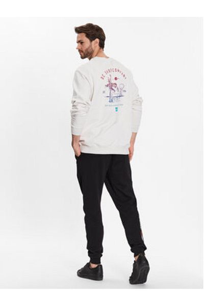 DC Mens Sweatshirt ADYSF03105 Gray