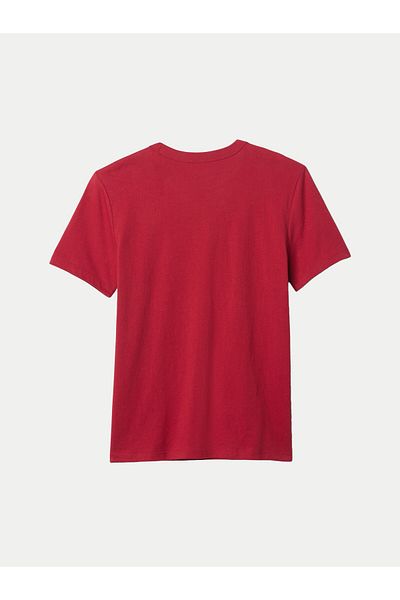 GAP Boy T-Shirt 605364-01 Burgundy
