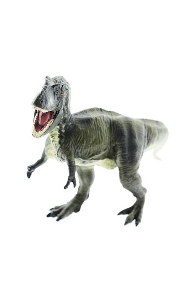 AC BOX Hard Plastic Dinosaur Figure - T-Rex
