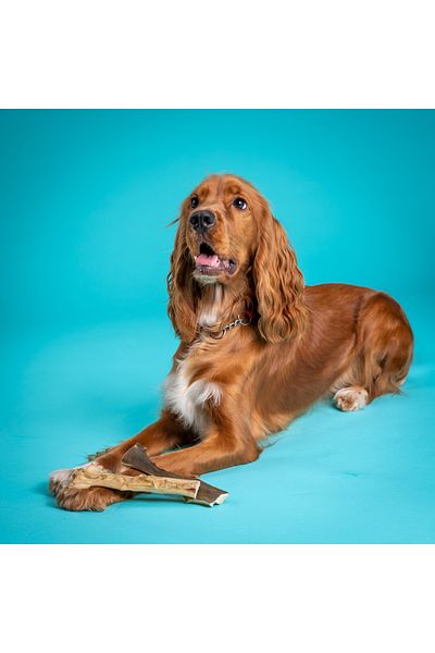 Snacky Dog Natural Rewards For Dogs Pack of 5 X Beef Snacks -