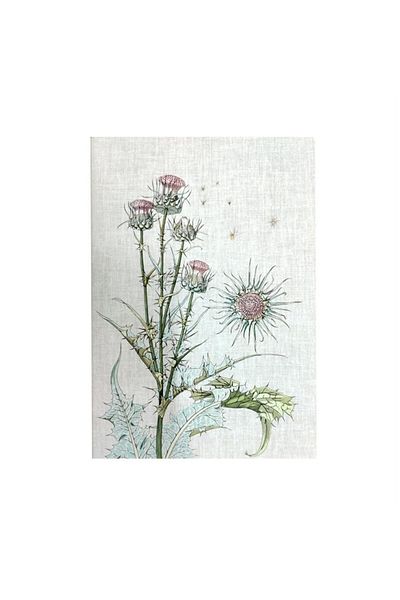 MUUS Plante Thistle 16,5X23,5 Line Notebook