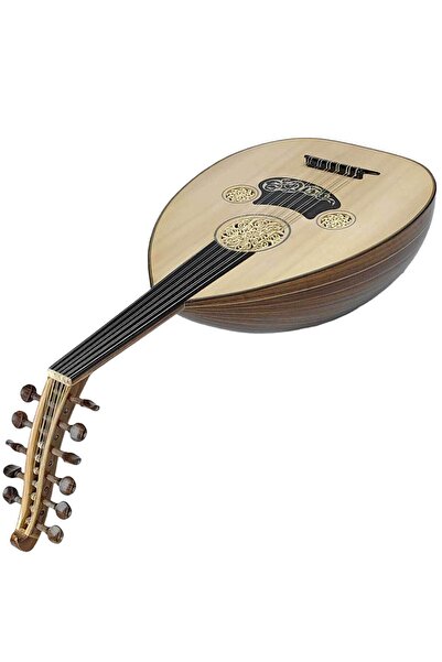 orientvalley Premium Ceviz Ud Profesyonel HQ02T