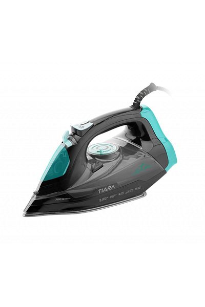 ETA Tiara II 3269 90000 fier, 2600 W, 450 ml, 140 g/min, talpa Eloxium