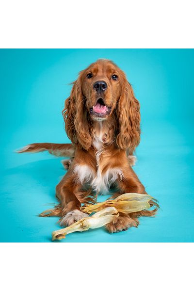 Snacky Dog Natural Rewards for Dogs Pack of 5 x Rabbit Snacks - Snacky Dog