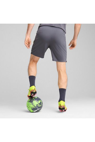 Puma Individualcup Men's Gray Shorts