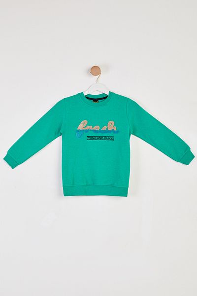 TOFİSA Boy's Green Printed Sweatshirt - 26438
