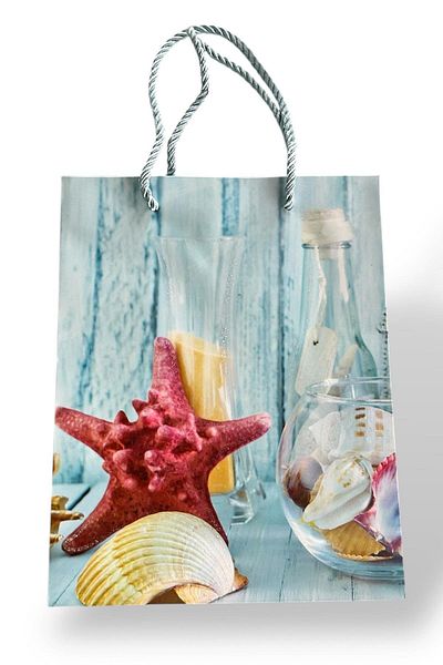TAKIŞTIR Blue Color Star Figured Cardboard Bag