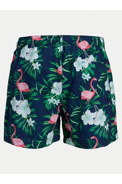 Jack & Jones Pantaloni scurți de baie pentru bărbați Jack Jones 12272809 Colorați