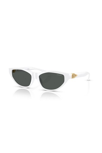 Versace Sunglasses Ve4491U 55 314/87