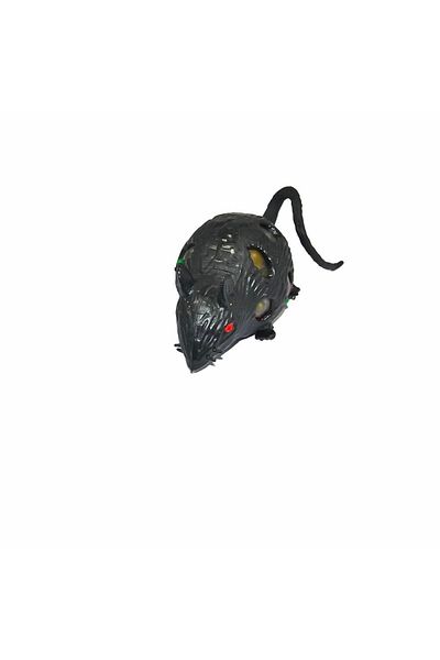 LiderGlobal 2215 Mouse Brain Keychain
