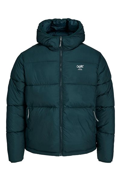 Jack & Jones Jachetă de iarnă pentru bărbați Jack Jones 12238878 Verde