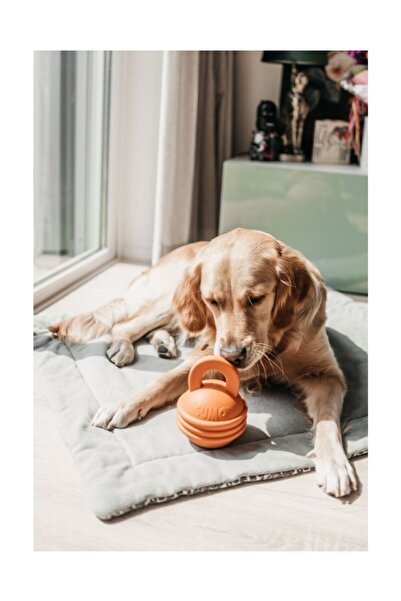 Beeztees Sumo Kettlebell (girya) Şeklinde Dental