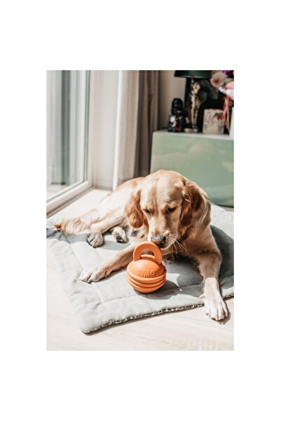 Beeztees Sumo Kettlebell (girya) Şeklinde Dental