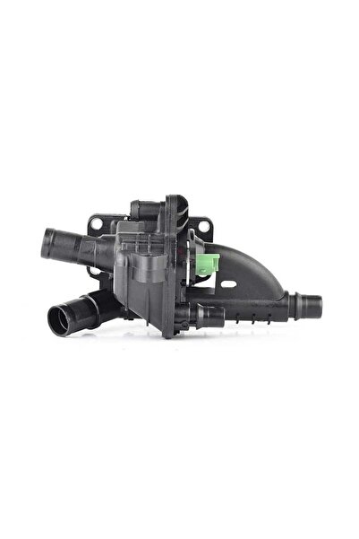 BSG Citroen Berlingo 1.6 Hdi / Bluehdi 75 Termostat