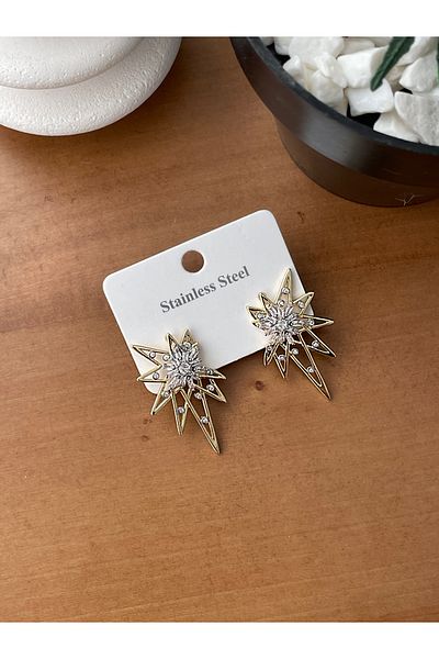 JELLY Women's Steel Gold Color Shiny Zircon Stone Geometric Star Model Design Modern Earrings