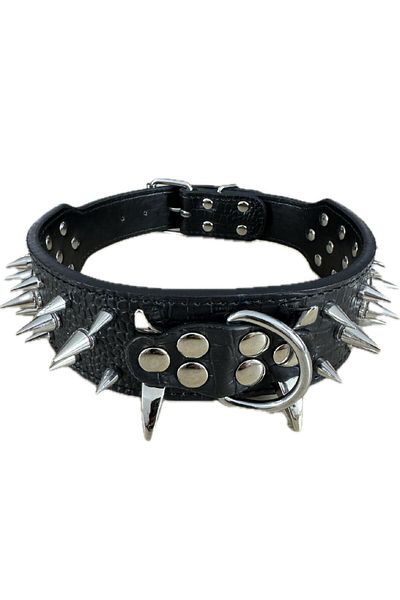 EvrikaUnity Zgarda Spike/Tinte de Metal pentru Caini, Circumferinta ajustabila gat 48-56 cm, M, Negru