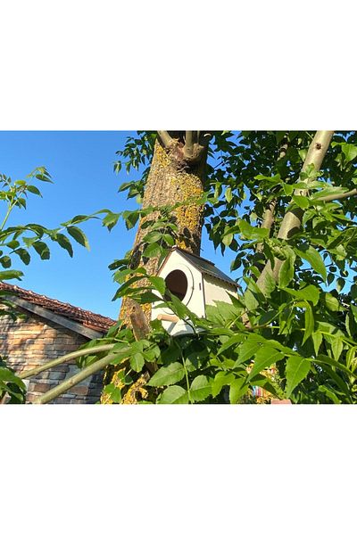 WoodenZoo Wooden Decorative Bird House Nest, Nest, Balcony, Garden Accessory (White)