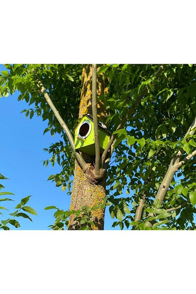 WoodenZoo Wooden Decorative Bird House Nest, Nest, Balcony, Garden Accessory (Green)