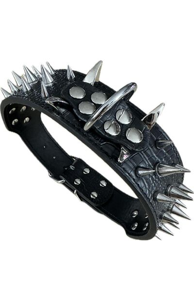 EvrikaUnity Zgarda Spike/Tinte de Metal pentru Caini, Circumferinta ajustabila gat 48-56 cm, M, Negru