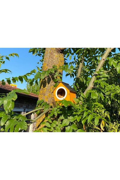 WoodenZoo عش بيت الطيور الخشبي المزخرف، عش، شرفة، ملحقات الحديقة (برتقالي)