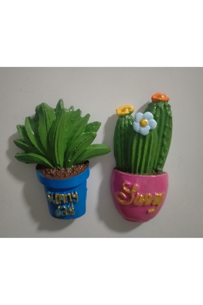 Minihobiev İkili kaktüs magnet , buzdolabı süsü , dekoratif aksesuar , mutfak...