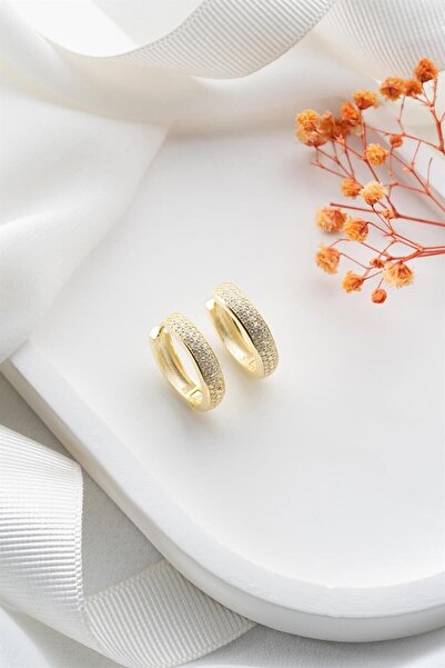 Silvano Jewelry 925 Ayar Gold Sıra Taşlı Halka Gümüş Küpe