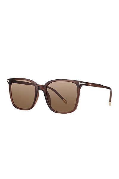 Daniel Klein Brown Frame Polarized Women's Sunglasses