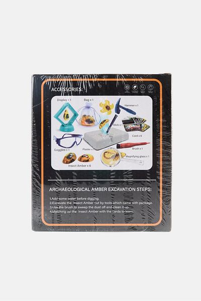 STEM Bug Amber Dig Kit