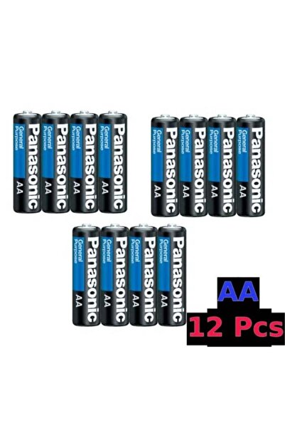 PANASONIC AA Battery, 12-cell pack