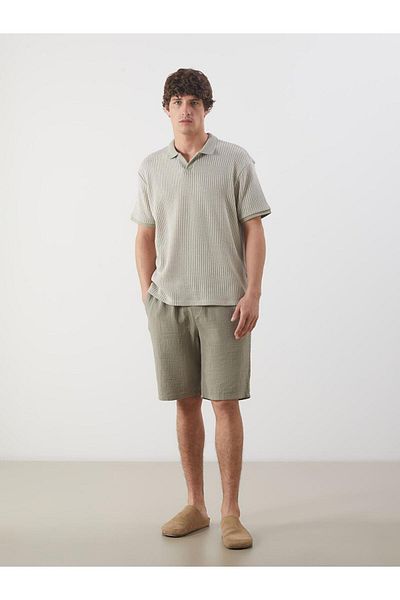 LC Waikiki Ανδρικό μπλουζάκι Polo Neck (S5)
