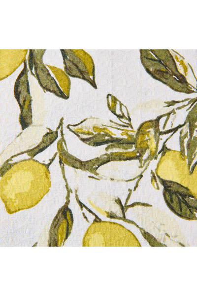 Evidea Soft Fresco Single Pique Set - White