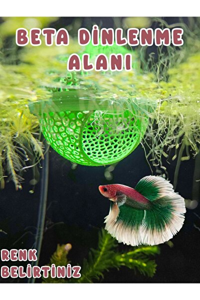 MDİZMİR Beta Dinlenme Alanı Balık Yuvası Üretim Tüpü Küçük Akvaryum Ve Büyük ...